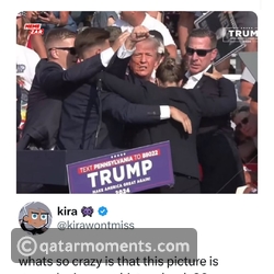 Internet Reacts to Trump Getting Shot